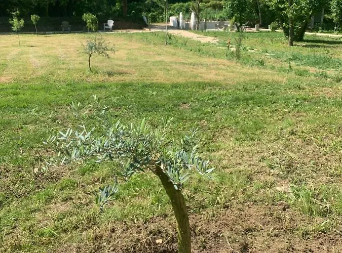 Apartman Clos Augusta 2 *