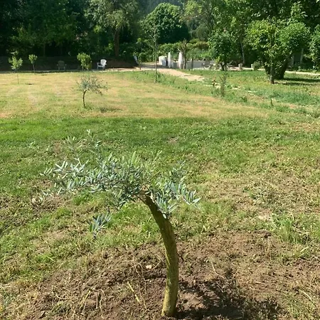 Appartamento Clos Augusta 2 *